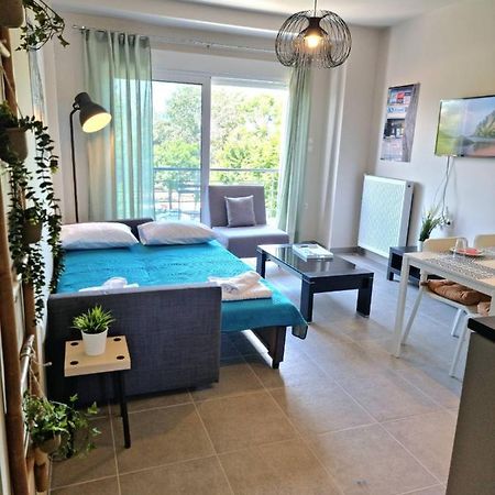 Palaia Premium Flat Apartman Vólosz Kültér fotó