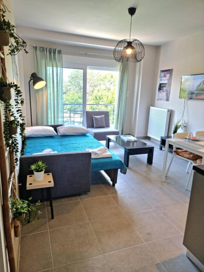 Palaia Premium Flat Apartman Vólosz Kültér fotó